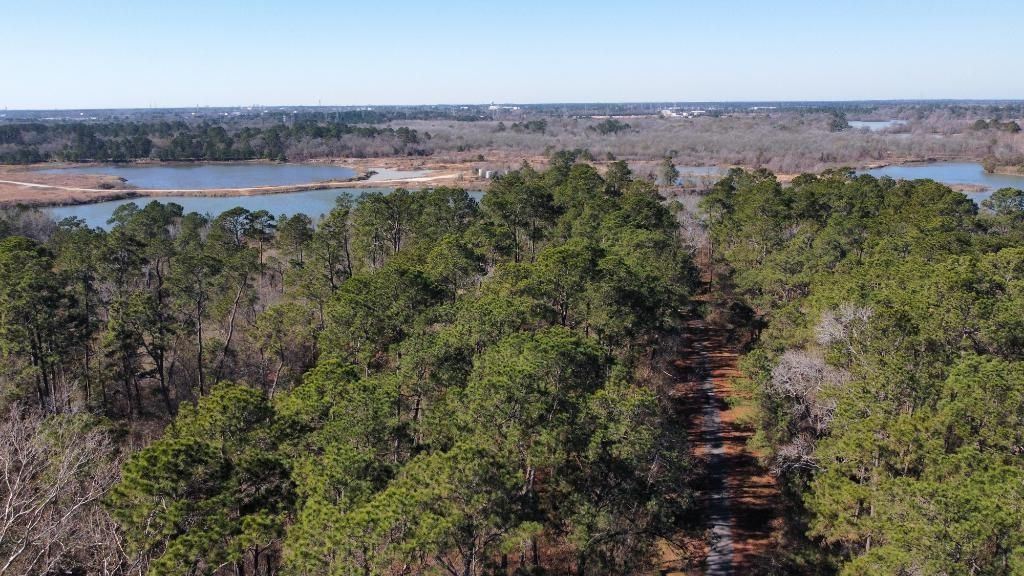 0 Silverline Lot 9 Drive, Houston, TX 77338