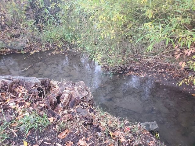 9 Big Horn Drive, Livingston, MT 59047