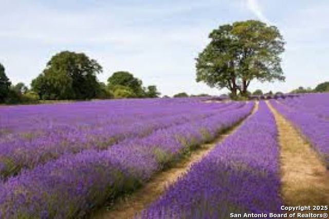 101 E Eli Chandler, Blanco, TX 78606