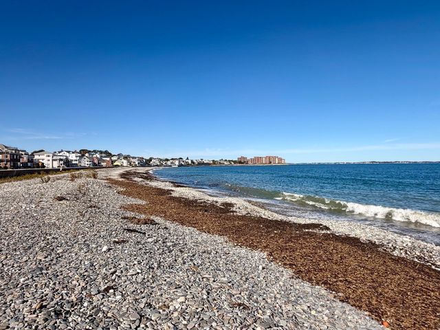 29 Seafoam Ave 1, Winthrop, MA 02152