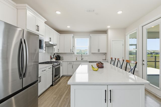 357 Dahlia Row Drive, Summerville, SC 29486