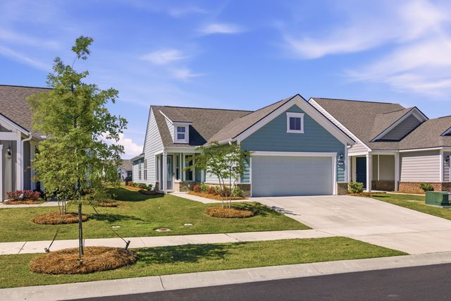 357 Dahlia Row Drive, Summerville, SC 29486