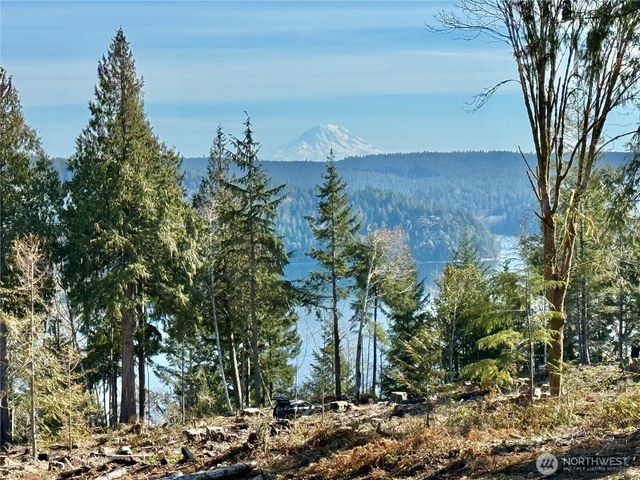 67 Devereaux Drive, Lilliwaup, WA 98555