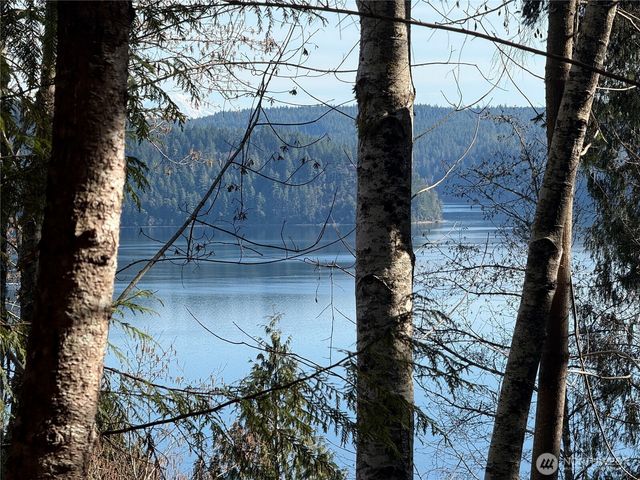 67 Devereaux Drive, Lilliwaup, WA 98555