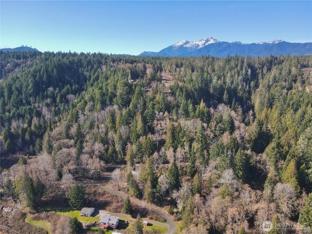 67 Devereaux Drive, Lilliwaup, WA 98555