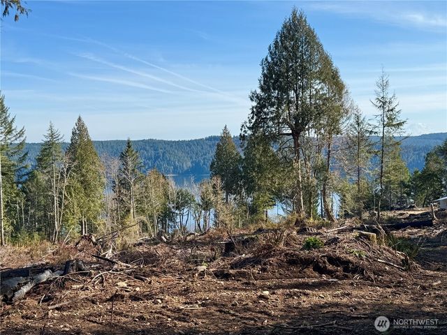 67 Devereaux Drive, Lilliwaup, WA 98555