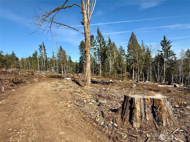 67 Devereaux Drive, Lilliwaup, WA 98555