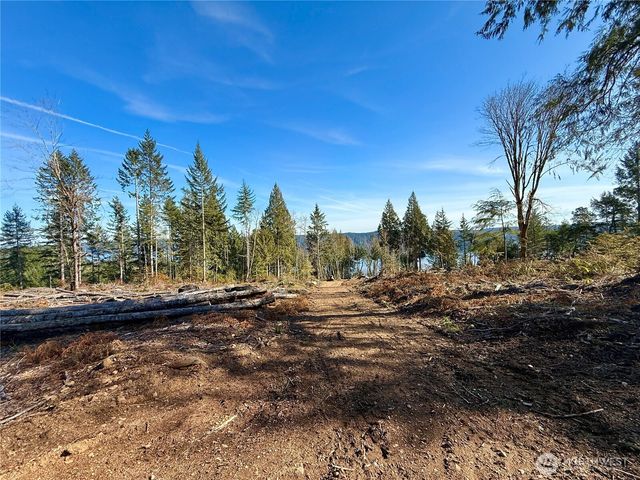67 Devereaux Drive, Lilliwaup, WA 98555