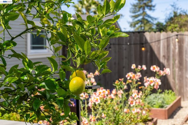 5161 TRASK STREET, Oakland, CA 94601