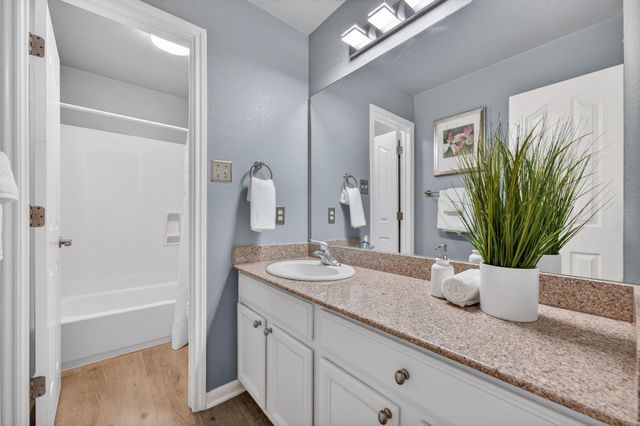 8025 Levata DR, Austin, TX 78739