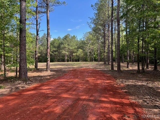 00 Friendship Road, Tallassee, AL 36078