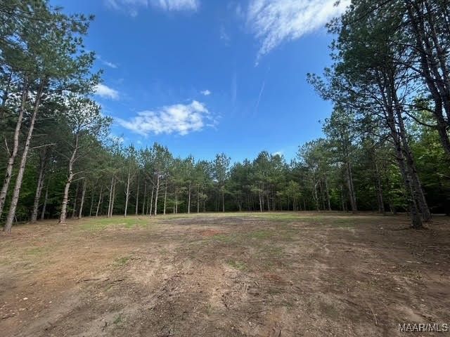 00 Friendship Road, Tallassee, AL 36078