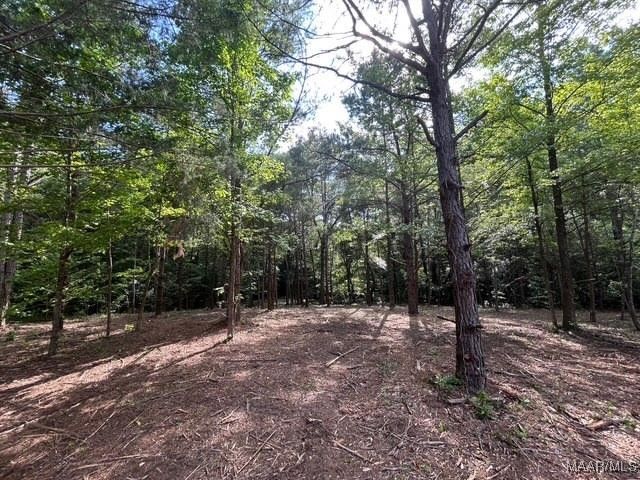 00 Friendship Road, Tallassee, AL 36078