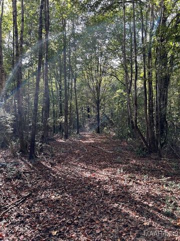 00 Friendship Road, Tallassee, AL 36078