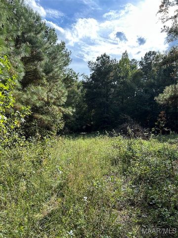 00 Friendship Road, Tallassee, AL 36078