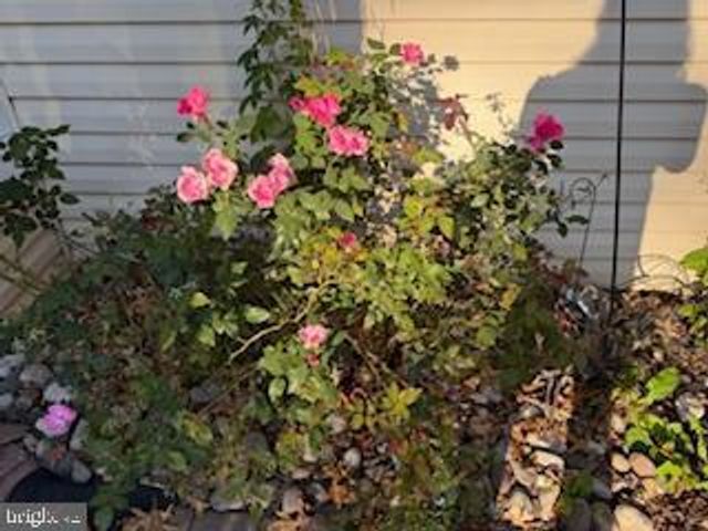 1301 ALBRIGHT DR, Yardley, PA 19067