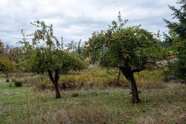 2281 Burgess Ranch Road, Zenia, CA 95595