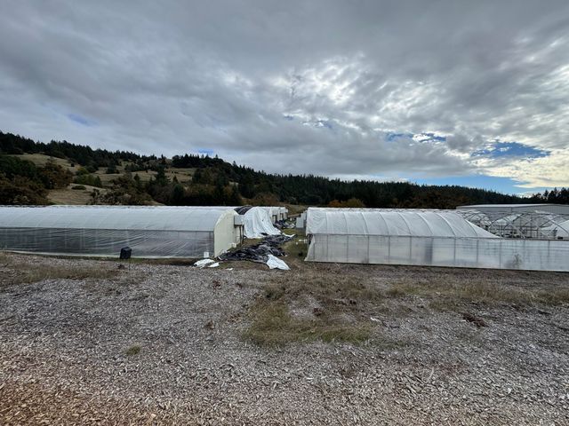 2281 Burgess Ranch Road, Zenia, CA 95595