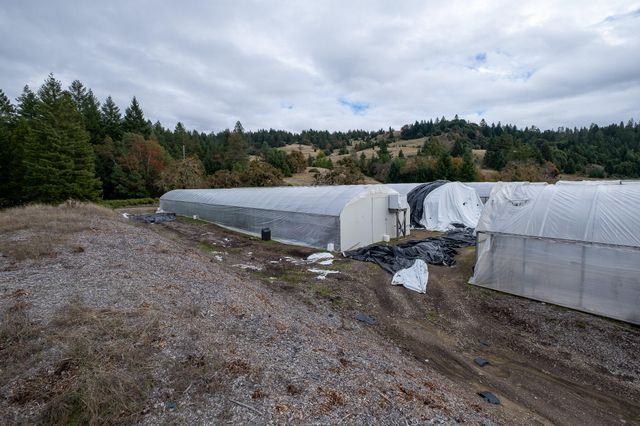 2281 Burgess Ranch Road, Zenia, CA 95595