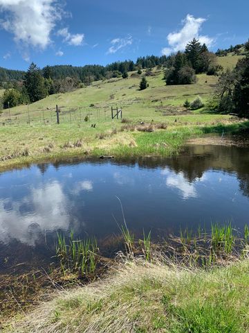 2281 Burgess Ranch Road, Zenia, CA 95595