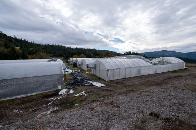 2281 Burgess Ranch Road, Zenia, CA 95595