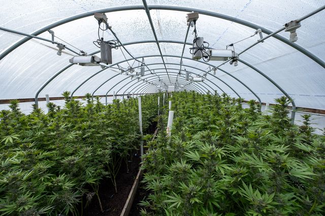 2281 Burgess Ranch Road, Zenia, CA 95595