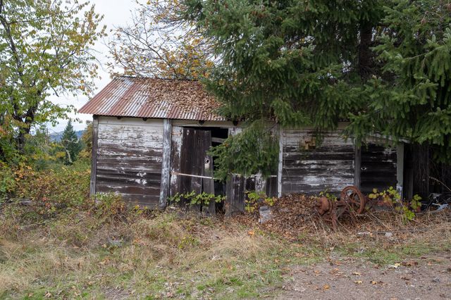 2281 Burgess Ranch Road, Zenia, CA 95595