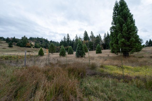 2281 Burgess Ranch Road, Zenia, CA 95595