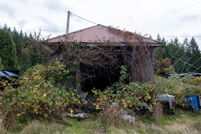 2281 Burgess Ranch Road, Zenia, CA 95595