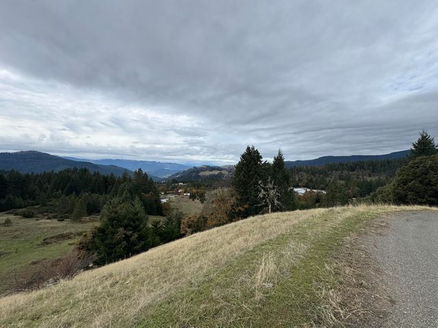 2281 Burgess Ranch Road, Zenia, CA 95595