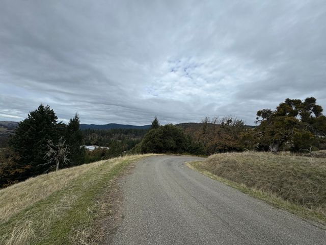 2281 Burgess Ranch Road, Zenia, CA 95595