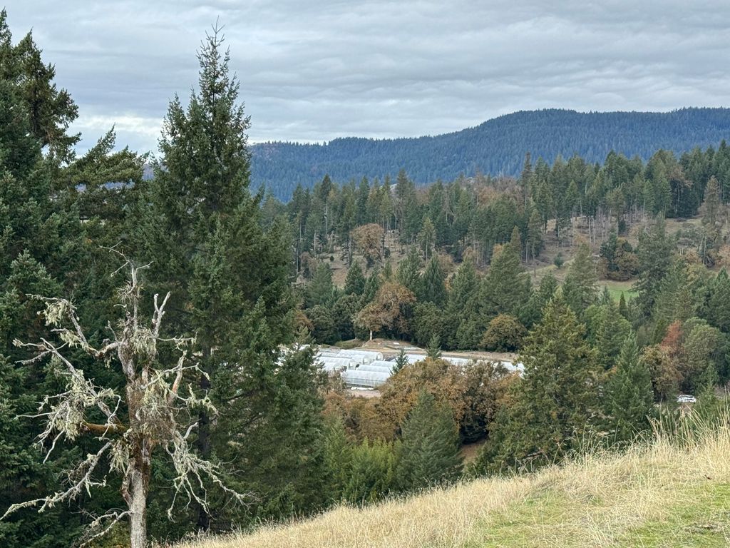 2281 Burgess Ranch Road, Zenia, CA 95595