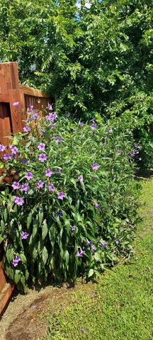 1202 Spanish Flower Drive, Granbury, TX 76048