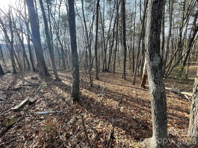 218 Max Metcalf Road, Swannanoa, NC 28778