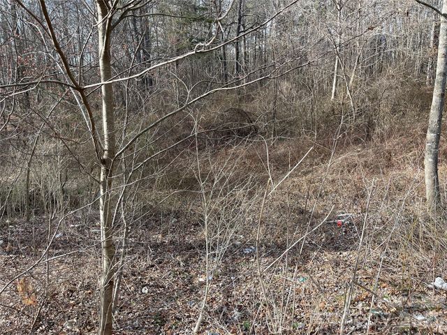 218 Max Metcalf Road, Swannanoa, NC 28778