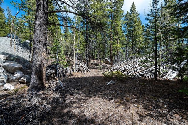 Unknown Loch Lomond, Idaho Springs, CO 80452