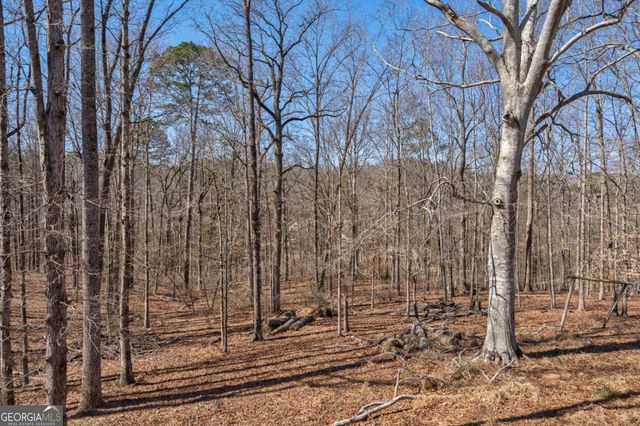 1380 Brittain Estates Drive, Watkinsville, GA 30677