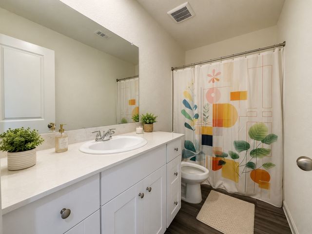 14108 Emeric Street, Pilot Point, TX 76258