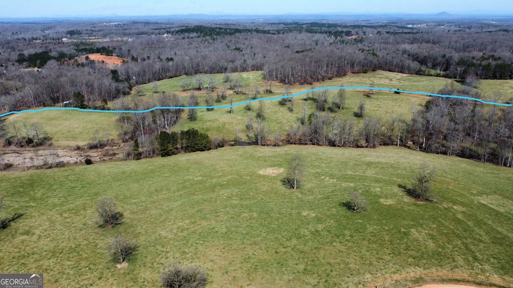 2090 Southern Seed Way, Carnesville, GA 30521 — photo 4