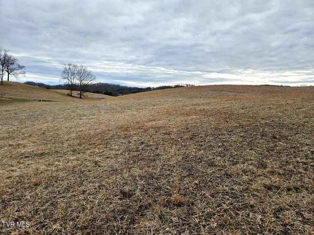 Lot 119 Yeary Trail, Abingdon, VA 24210