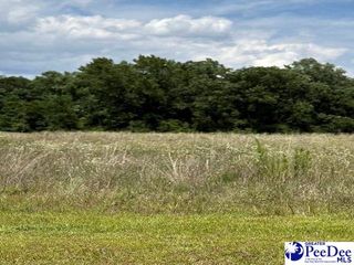 Lot 22 Govrnor's Run, Lamar, SC 29069