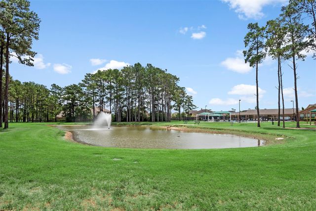 13302 Cameron Reach Drive, Tomball, TX 77377
