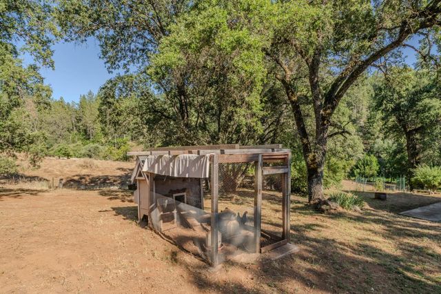 16671 Fiddletown Rd, Fiddletown, CA 95629