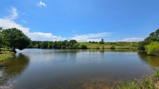 361 Allen Road, Musella, GA 31066