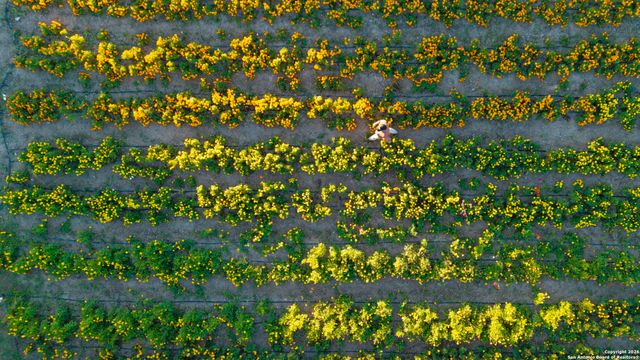 13977 ranch road 2325, Blanco, TX 78606