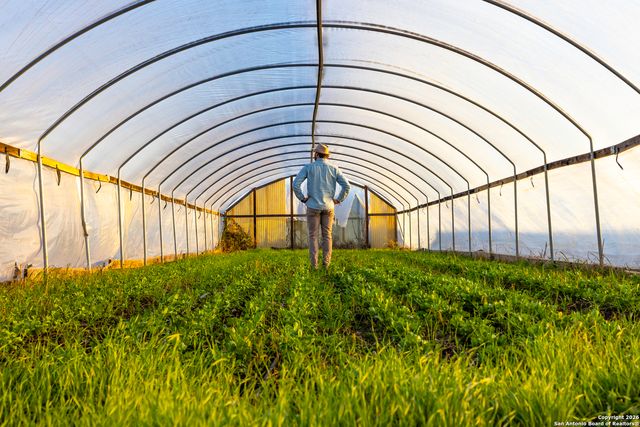 13977 ranch road 2325, Blanco, TX 78606