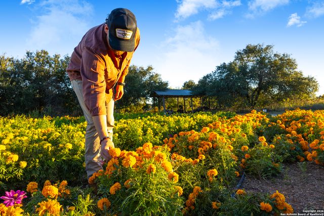 13977 ranch road 2325, Blanco, TX 78606