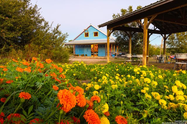 13977 ranch road 2325, Blanco, TX 78606