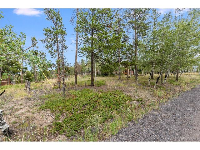 10444 Crystal Dr, Morrison, CO 80465