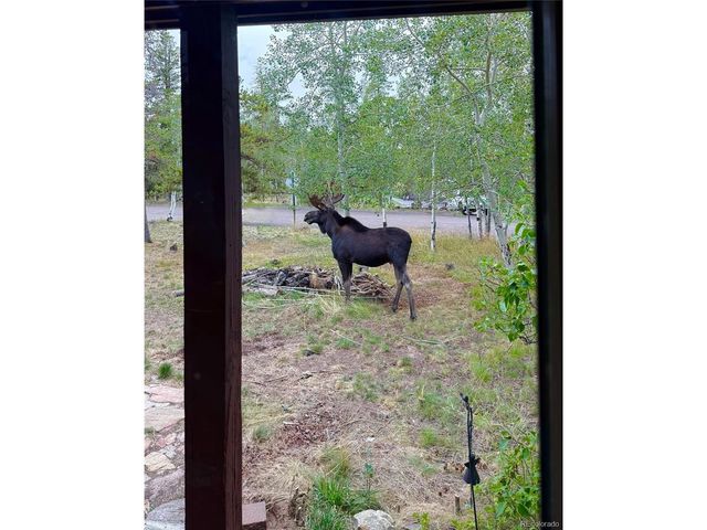 10444 Crystal Dr, Morrison, CO 80465